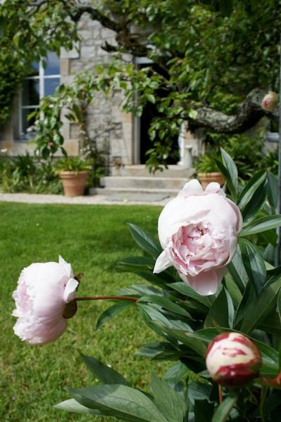 La Maison Les Mimosas Le Minihic-sur-Rance Kültér fotó